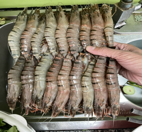 TÔM SÚ QUẢNG CANH ĐÔNG LẠNH
